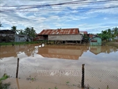 Eighty billion VND allocated to Central provinces to address Typhoon Kalmaegi
